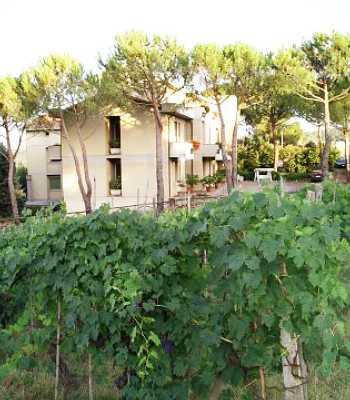 Hotel 3 stelle in Barberino Val d'Elsa Chianti - Primavera