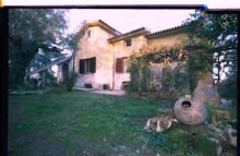 Not Classified in Capena Dintorni di Roma - Villa Olcimia Country House
