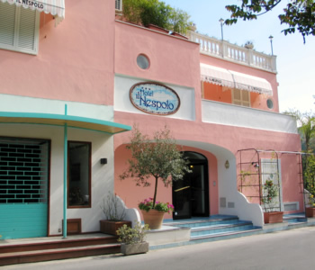 Hotel 3 stelle in Casamicciola Terme Ischia - Il Nespolo
