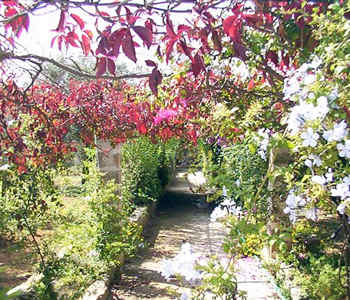 Bed and breakfast  in Casarano Salento - Villa Jacca