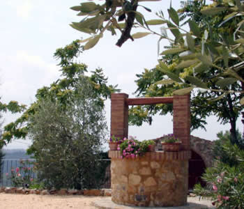 Farm Home  in Castellina in Chianti Castellina in Chianti - Podere Palazzolo