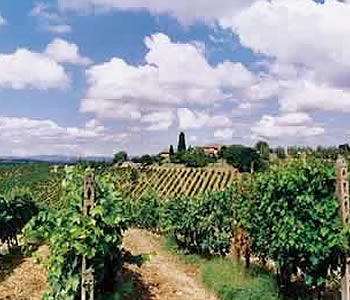 Hotel 3 stelle in Castellina in Chianti Dintorni di Siena - Belvedere di San Leonino