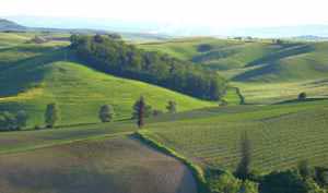 Bed and breakfast  in Castelnuovo Berardenga Castelnuovo Berardenga - Borgo Casato