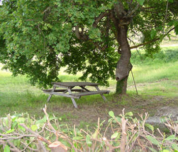 Farm Home 2 stelle in Castelnuovo Berardenga Dintorni di Siena - Castello di Selvole