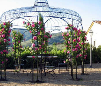 Bed and breakfast  in Castiglion Fiorentino Dintorni di Arezzo - Casa Portagioia