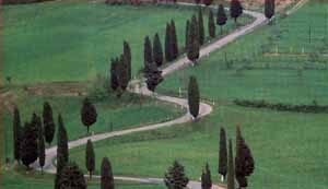 Hotel 2 stelle in Chianciano Terme Chianciano Terme - Residence Venere