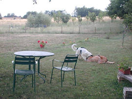 Bed and breakfast 2 stelle in Chiusdino Chiusdino - Nuove Frassinaie