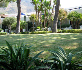 Hotel 3 stelle in Forio d'Ischia Ischia - Paradiso Garden