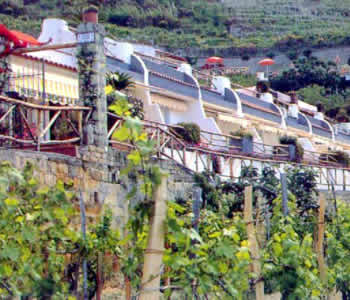 Residence 2 stelle in Forio d'Ischia Ischia - La Rosa