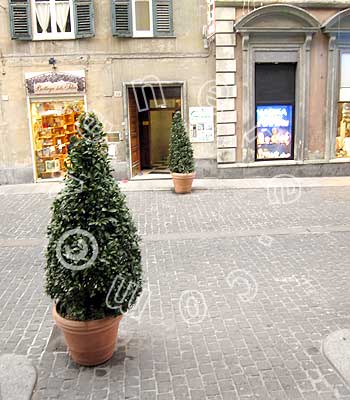 Hotel 2 stelle in Genova Centro Storico - Cairoli