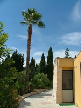 Bed and breakfast in Lecce Dintorni di Lecce - Villa Djerba