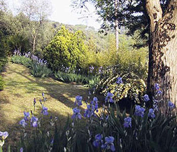 Appartamenti-ville in affitto 4 stelle in Massarosa Dintorni di Lucca - In centro - Mutino
