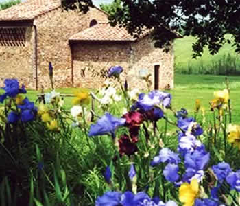 Appartamenti-ville in affitto  in Monteriggioni Dintorni di Siena - La Bufalaia