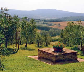 Bed and breakfast  in Monteriggioni Dintorni di Siena - L'Aia Country Holidays