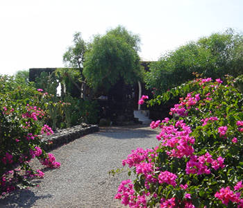 Villa  in Pantelleria Pantelleria - La Perla Nera del Mediterraneo