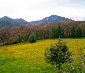 Farm Home 3 stelle in Pontelatone Dintorni di Napoli - Colleverde