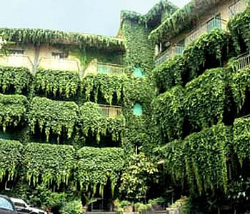 Hotel 3 stelle in Salerno Cilento - Hotel K
