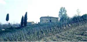 Appartamenti-ville in affitto 3 stelle in San Casciano in Val di Pesa San Casciano in Val di Pesa - I Ceppi