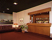 Hotel 3 stelle in San Donato Milanese Aeroporto di Milano Linate - Delta