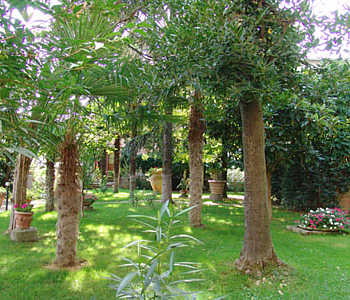 Appartamenti-ville in affitto  in Sinalunga Val di Chiana - Fonte del Castagno