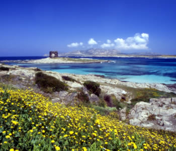Hotel 3 stelle in Stintino Costa Sarda - Club Hotel Ancora