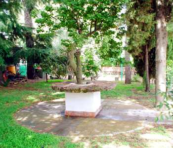 Bed and breakfast 3 stelle in Trecastagni Dintorni di Catania - Il Vigneto