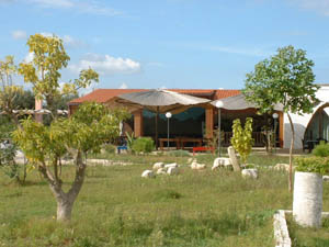 Farm Home 2 stelle in Vernole Dintorni di Lecce - Villa Conca Marco